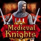 Medieval Knights game icon